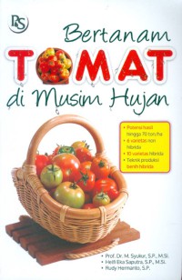 Bertanam tomat di musim hujan