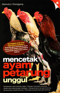Mencetak ayam petarung unggul